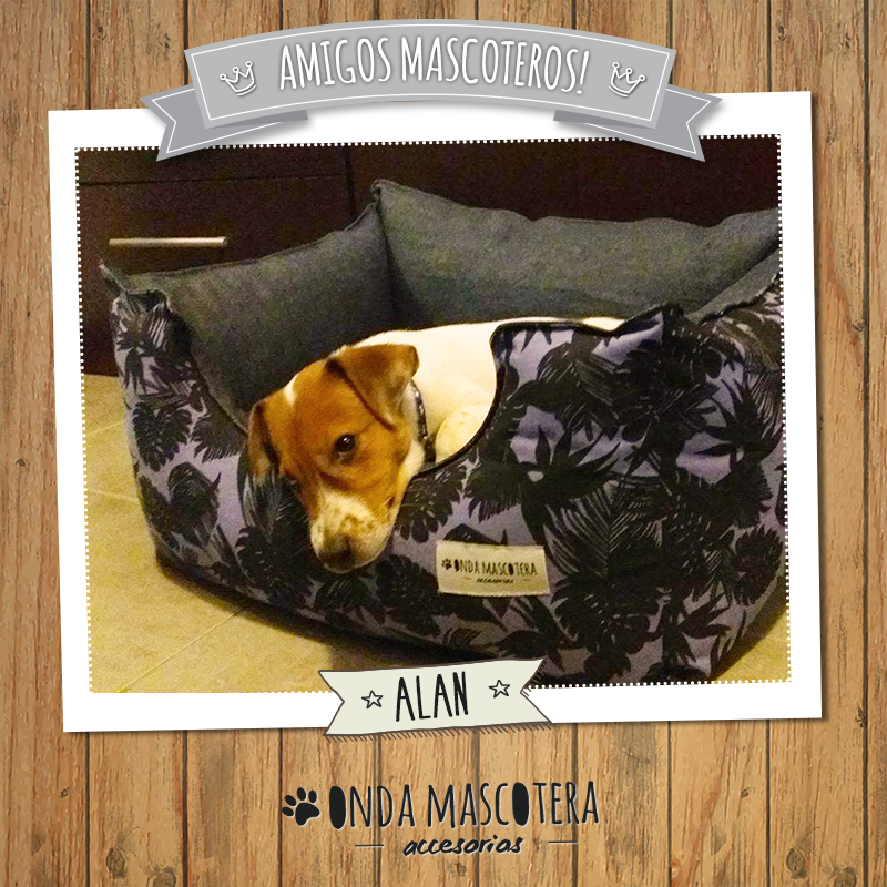 camita hawai estampado hawaiano para perros y gatos