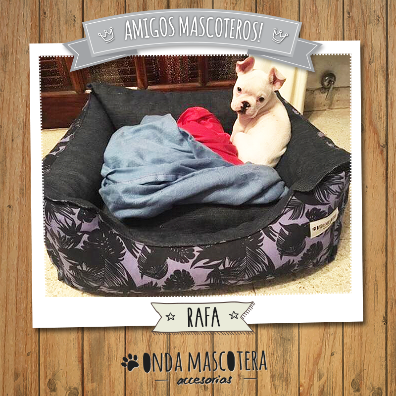 camita para perros bulldog francés onda mascotera