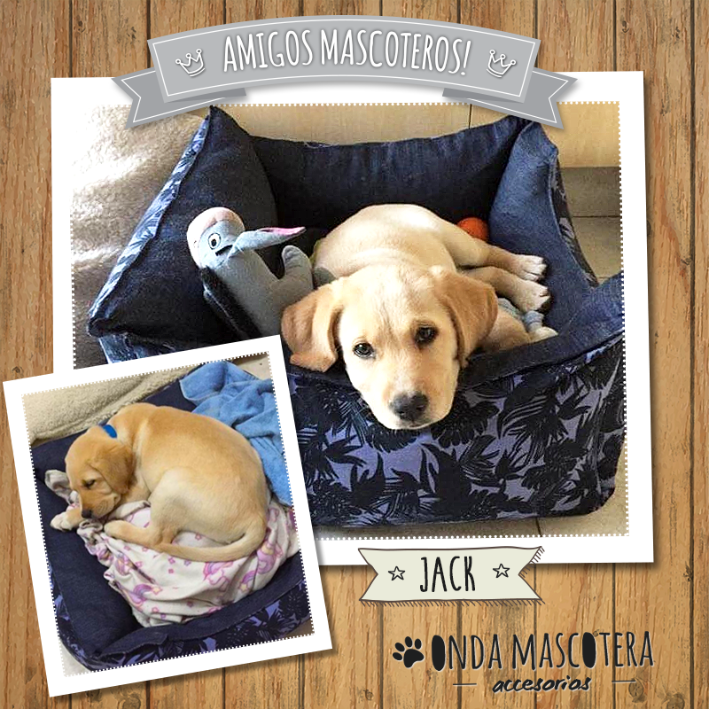 camita para perros labrador onda mascotera