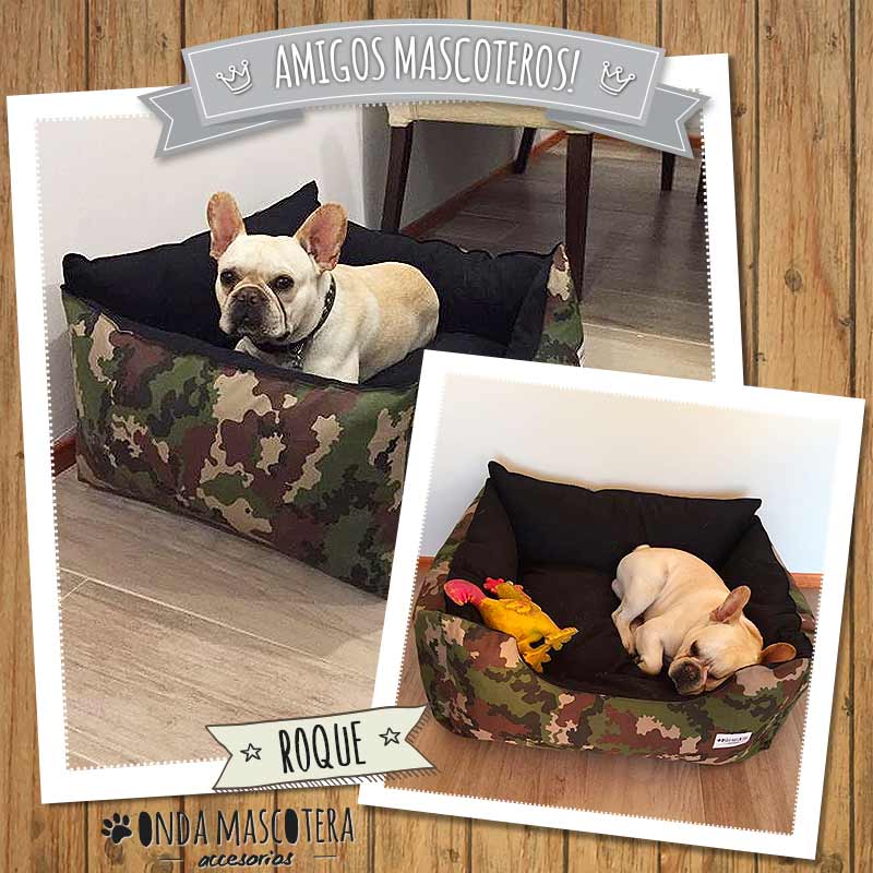 camita camuflado para french bulldog
