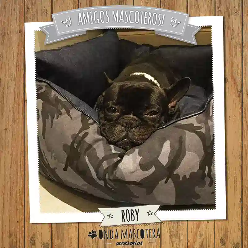 camita camuflado para french bulldog