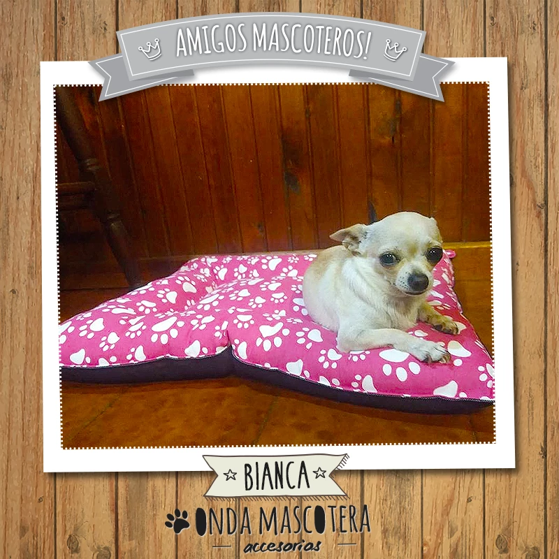 colchoneta para perros chihuahua
