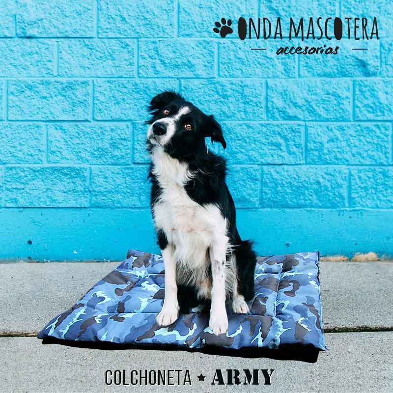 colchoneta para perros border collie