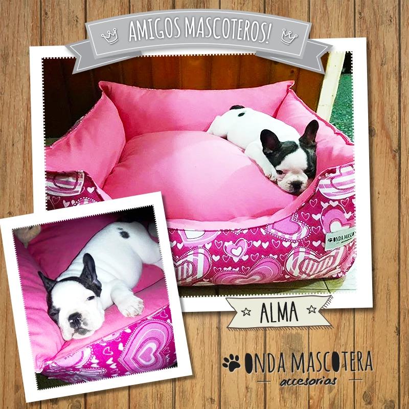 camita para perros bulldog francés onda mascotera