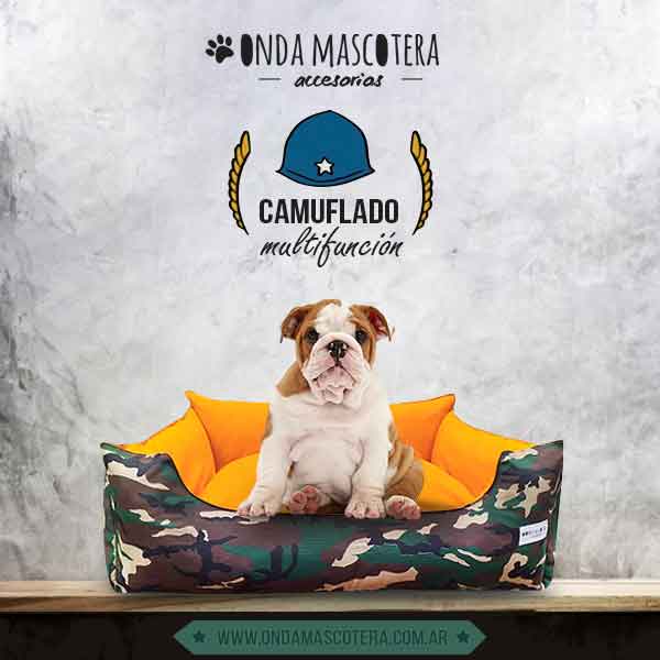 camita camuflado para bulldog inglés