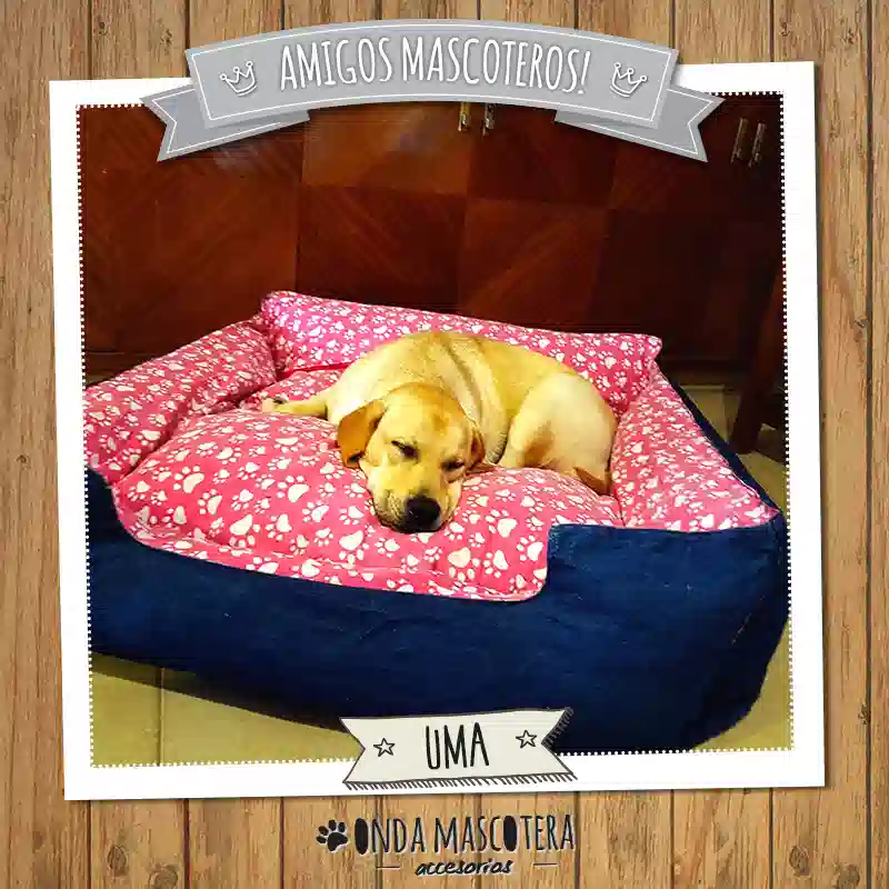 colchon para labrador con huellitas rosa estampado onda mascotera