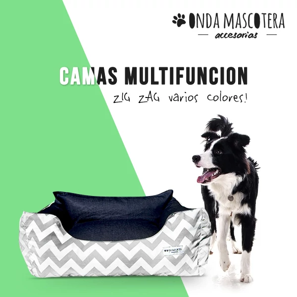 Camita para border collie cachorro o adulto