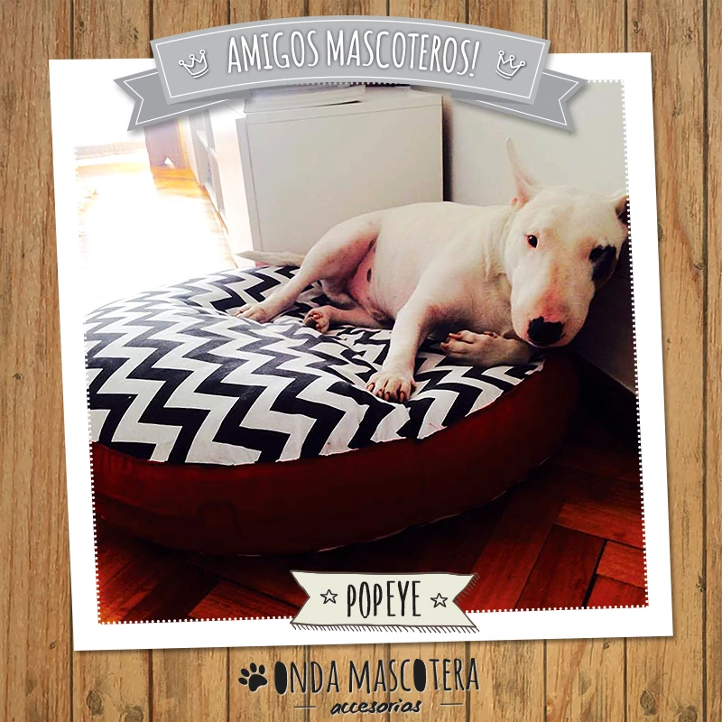 Almohadón cucha en tamaño grande lavable para mascotas