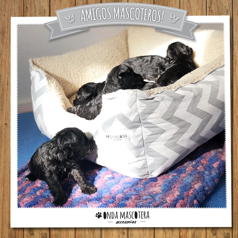 camita zig zag para schnauzer gris chevron lavable