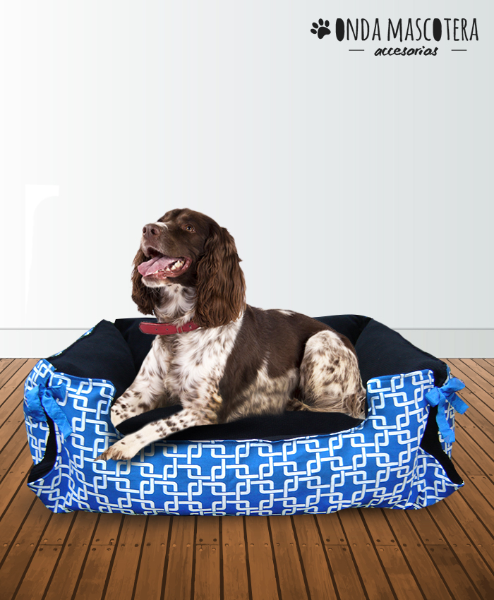 accesorios para perros personalizados