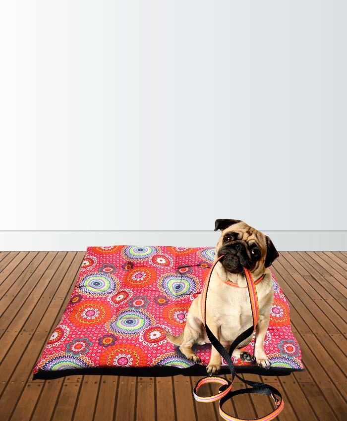 camita con mandalas estampadas para perros y gatos pug